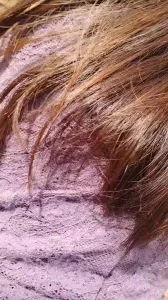 野外小树林后入小母狗