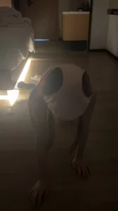 调教母狗，完整版22/36分钟，门槛99私