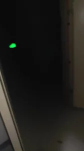 [原创]翘臀小母狗深夜户外打炮！