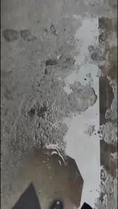 【原创自拍】山东地区研姐的偷情日记无套内射